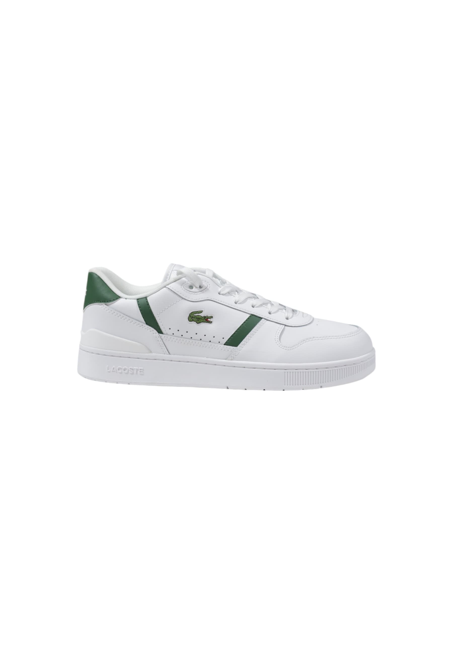 Lacoste Men Sneakers