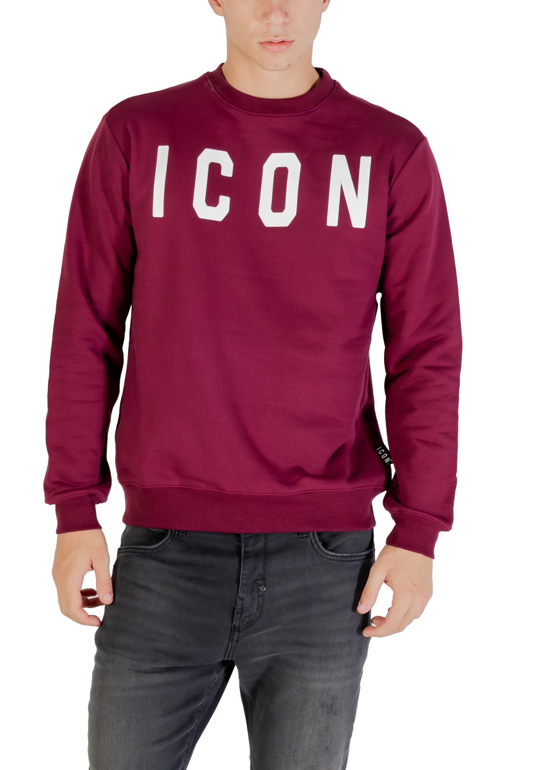 Icon Men Sweatshirts