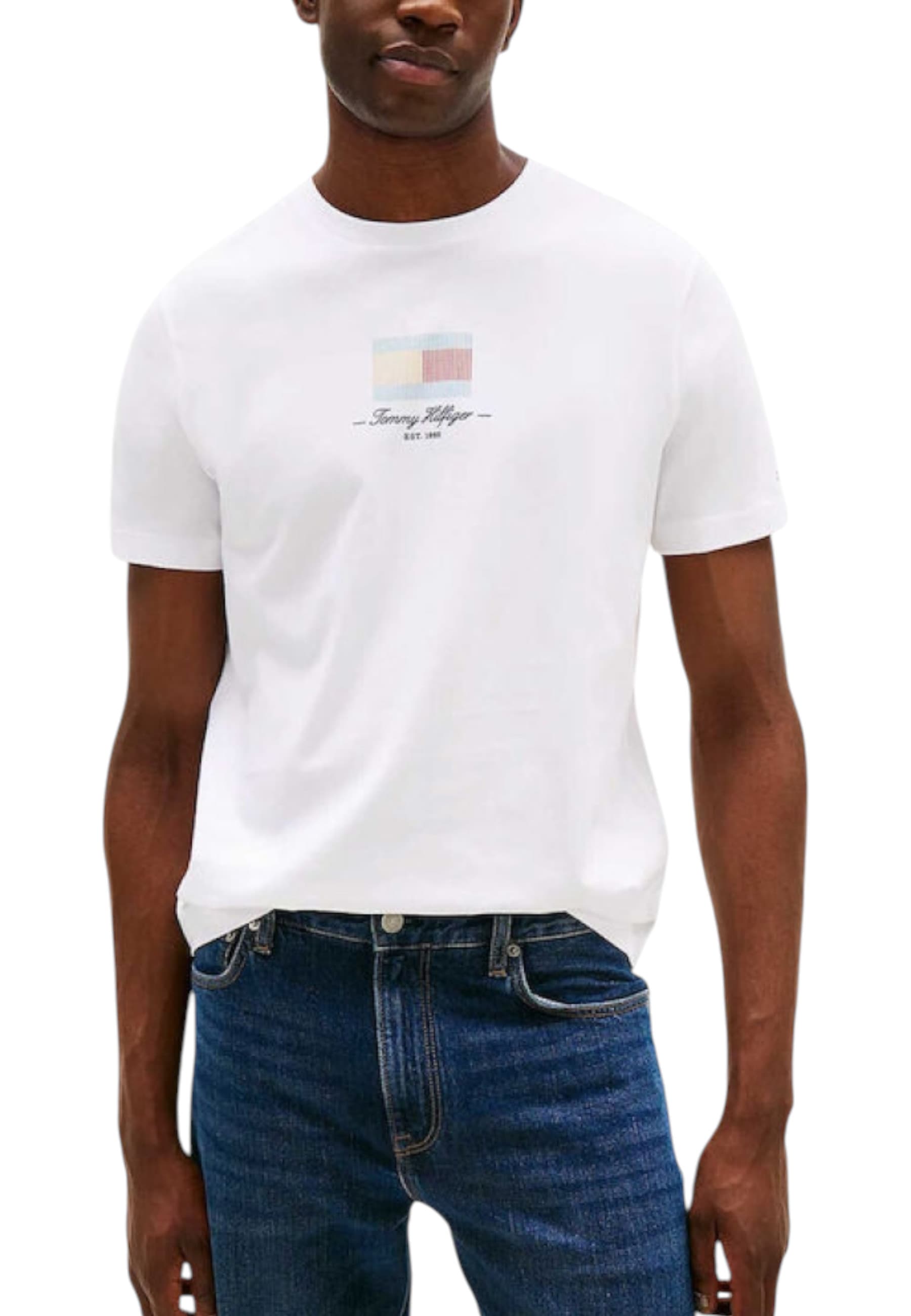 Tommy Hilfiger Men T-Shirt