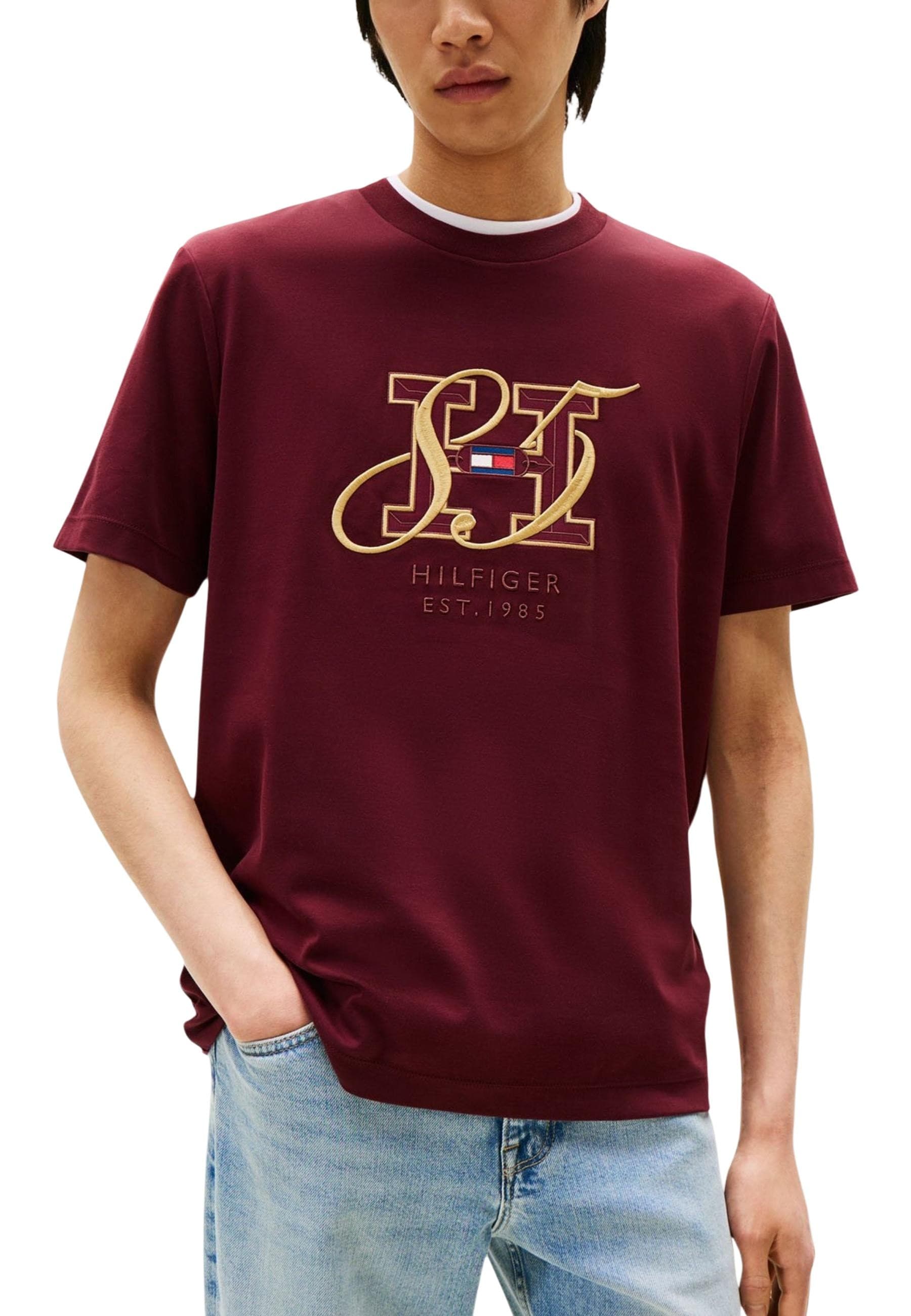 Tommy Hilfiger Men T-Shirt