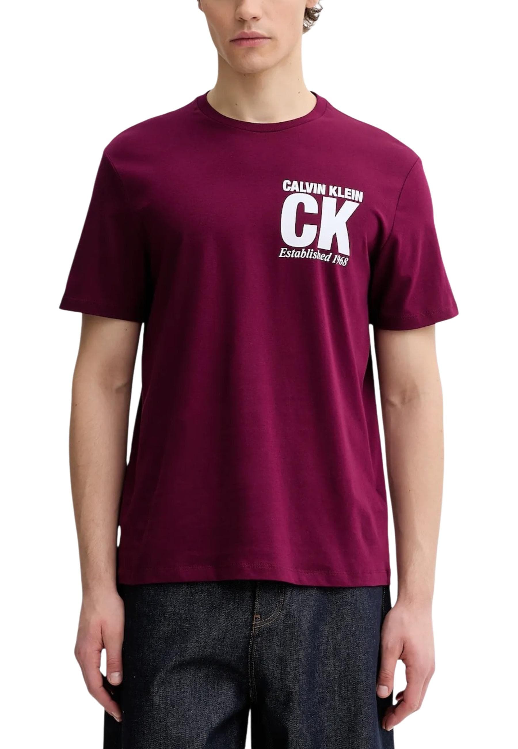 Calvin Klein Men T-Shirt