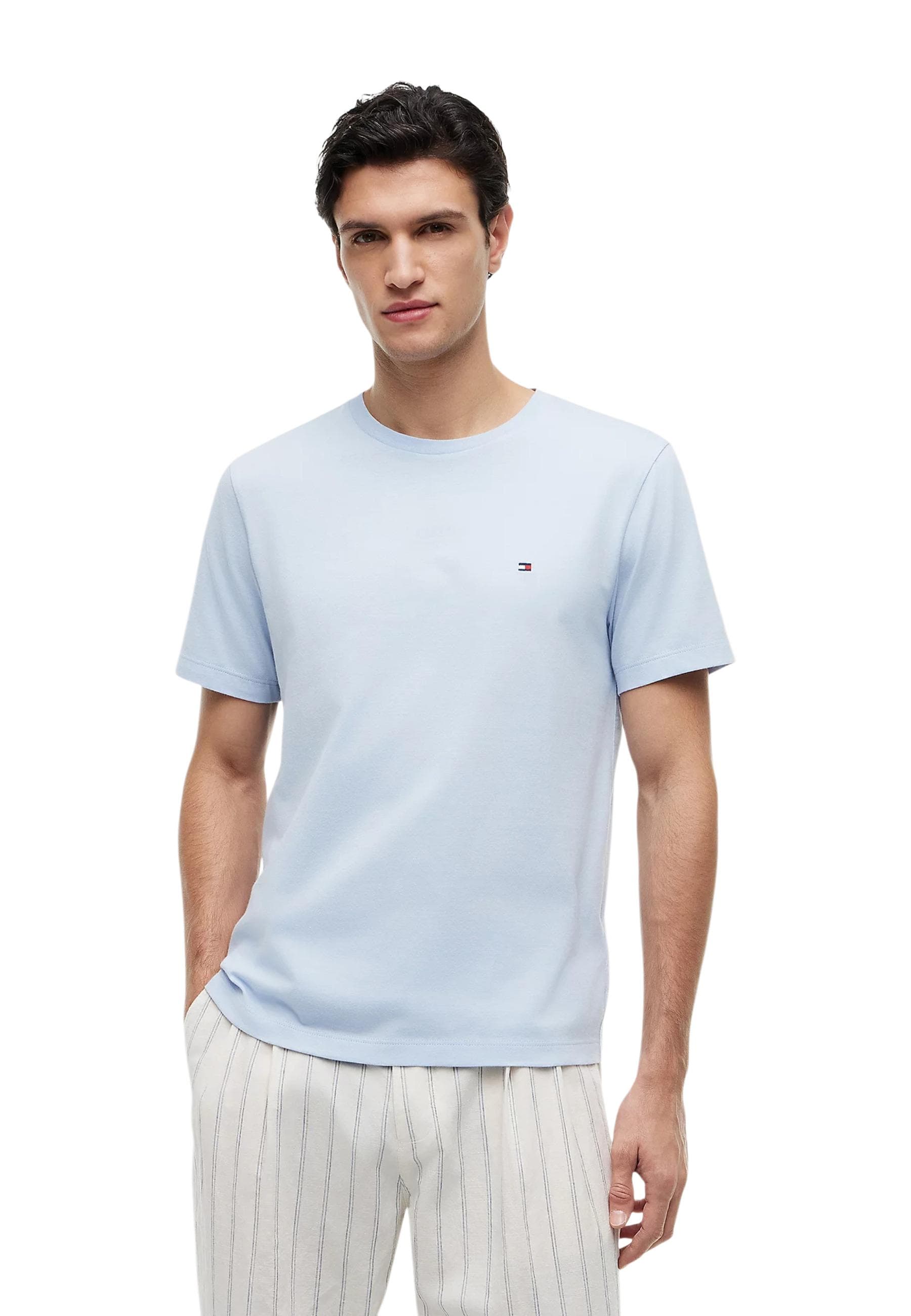 Tommy Hilfiger Men T-Shirt