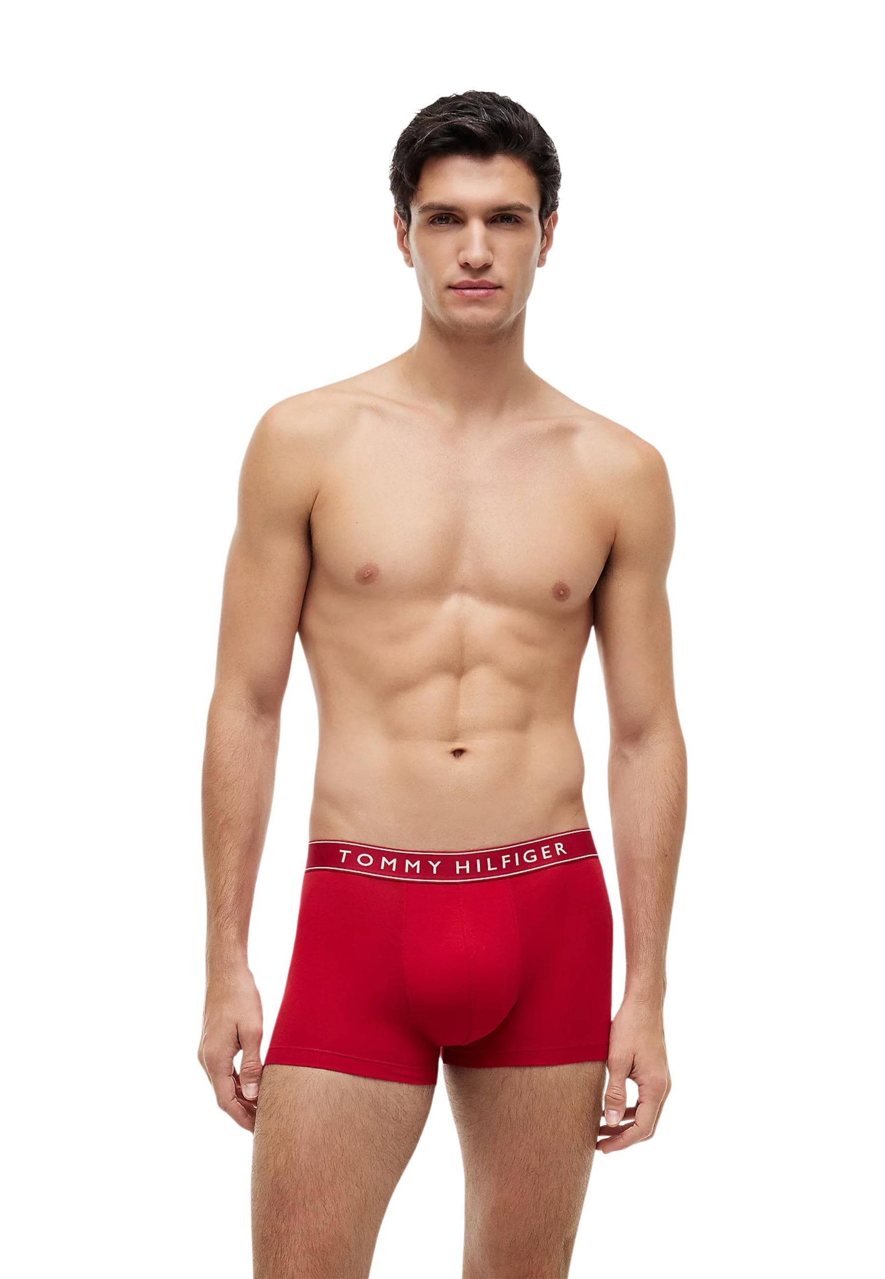 Tommy Hilfiger Men Underwear