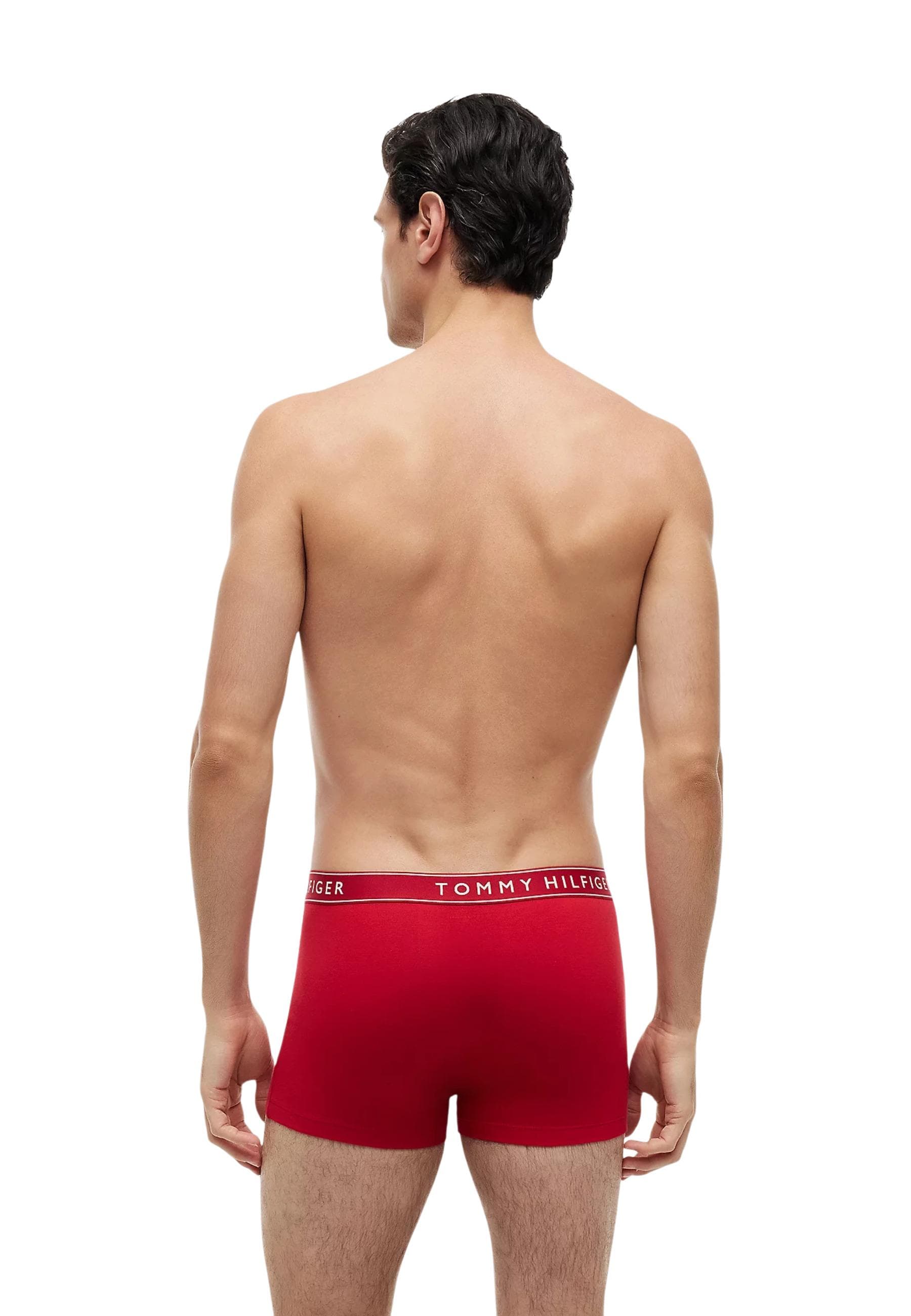 Tommy Hilfiger Men Underwear