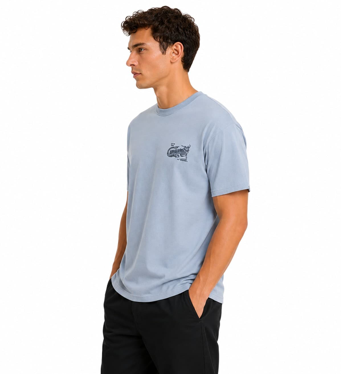 Vans Men T-Shirt