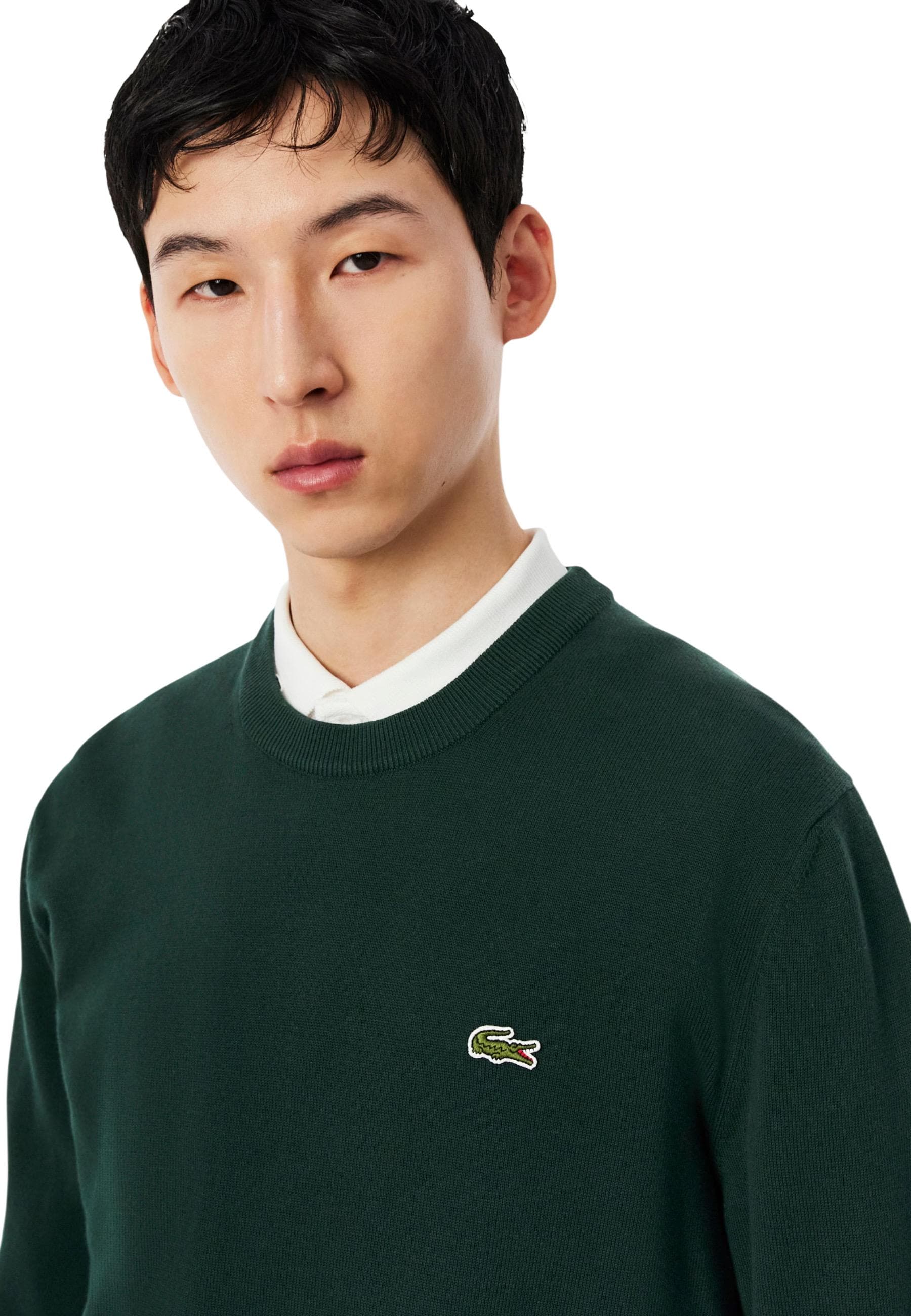 Lacoste Men Knitwear