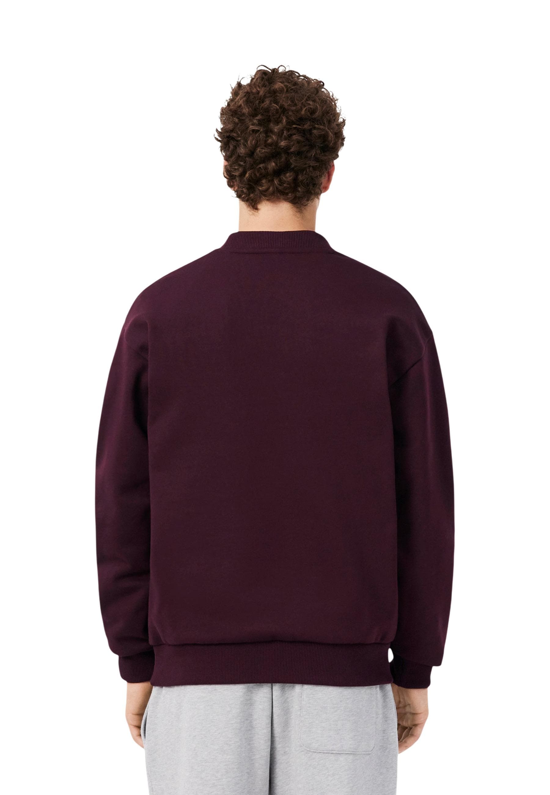Lacoste Men Sweatshirts