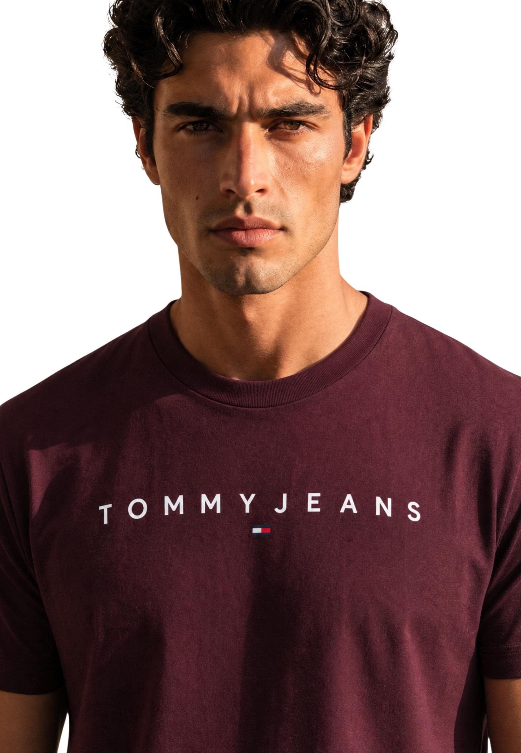 Tommy Hilfiger Jeans Men T-Shirt