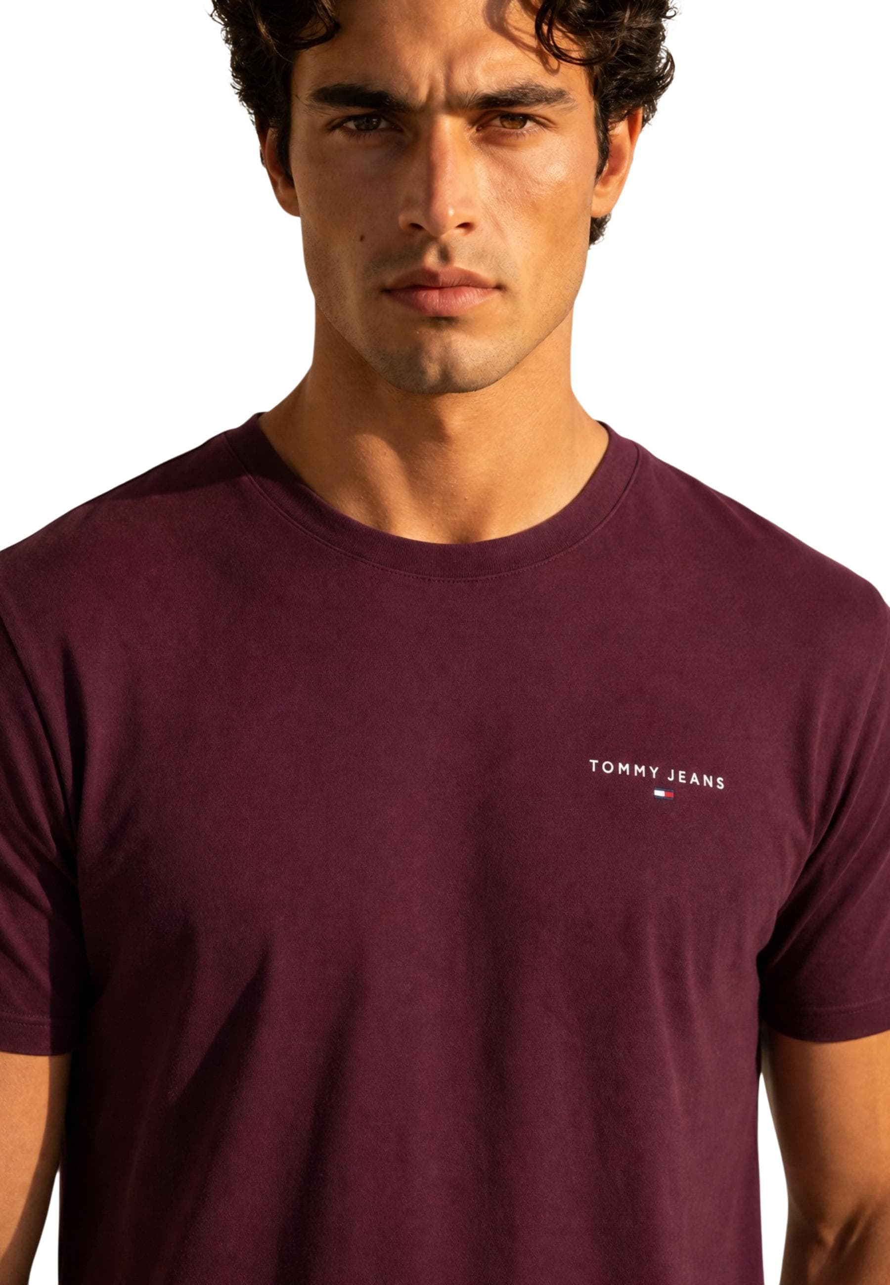 Tommy Hilfiger Jeans Men T-Shirt