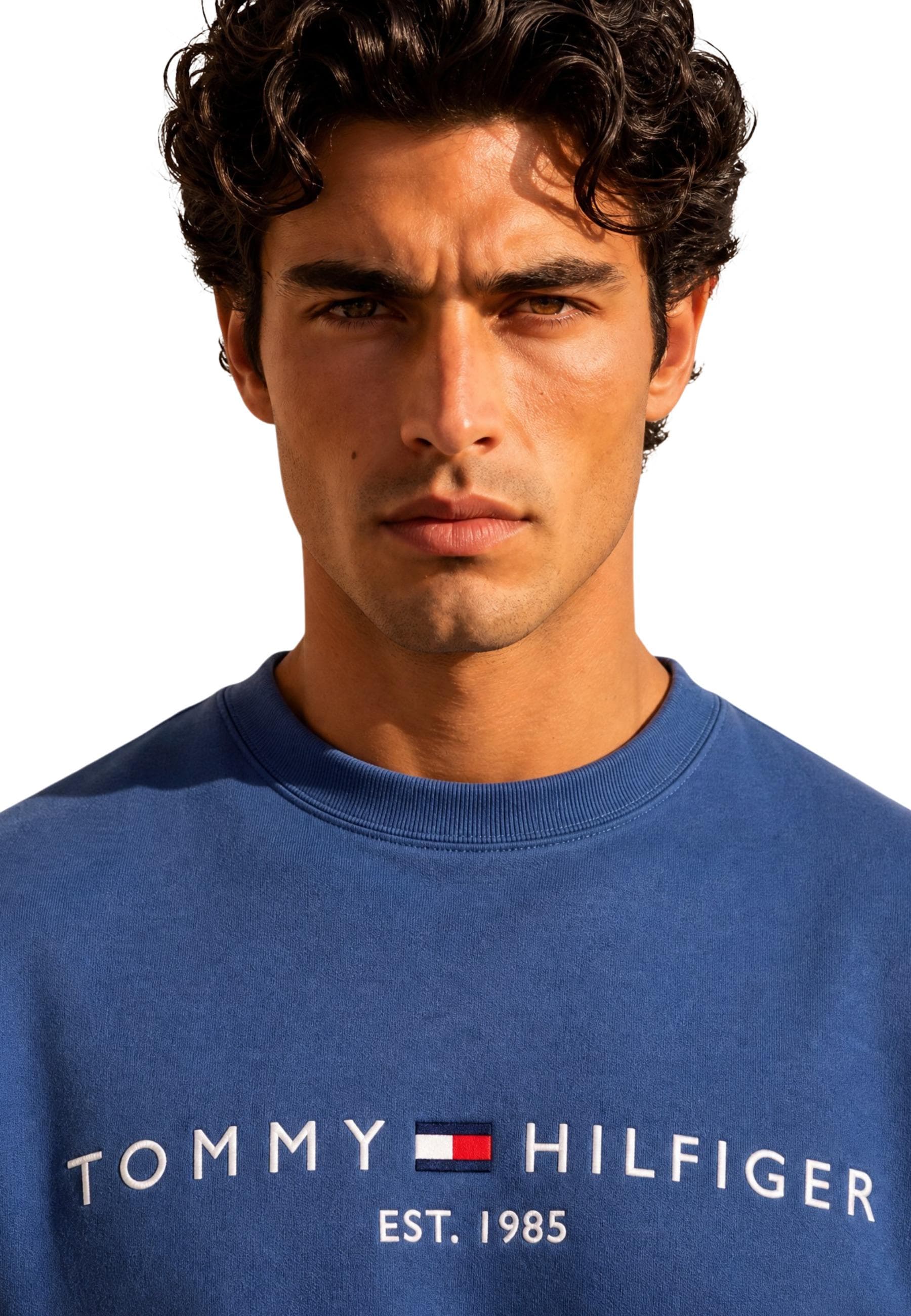 Tommy Hilfiger Men Sweatshirts