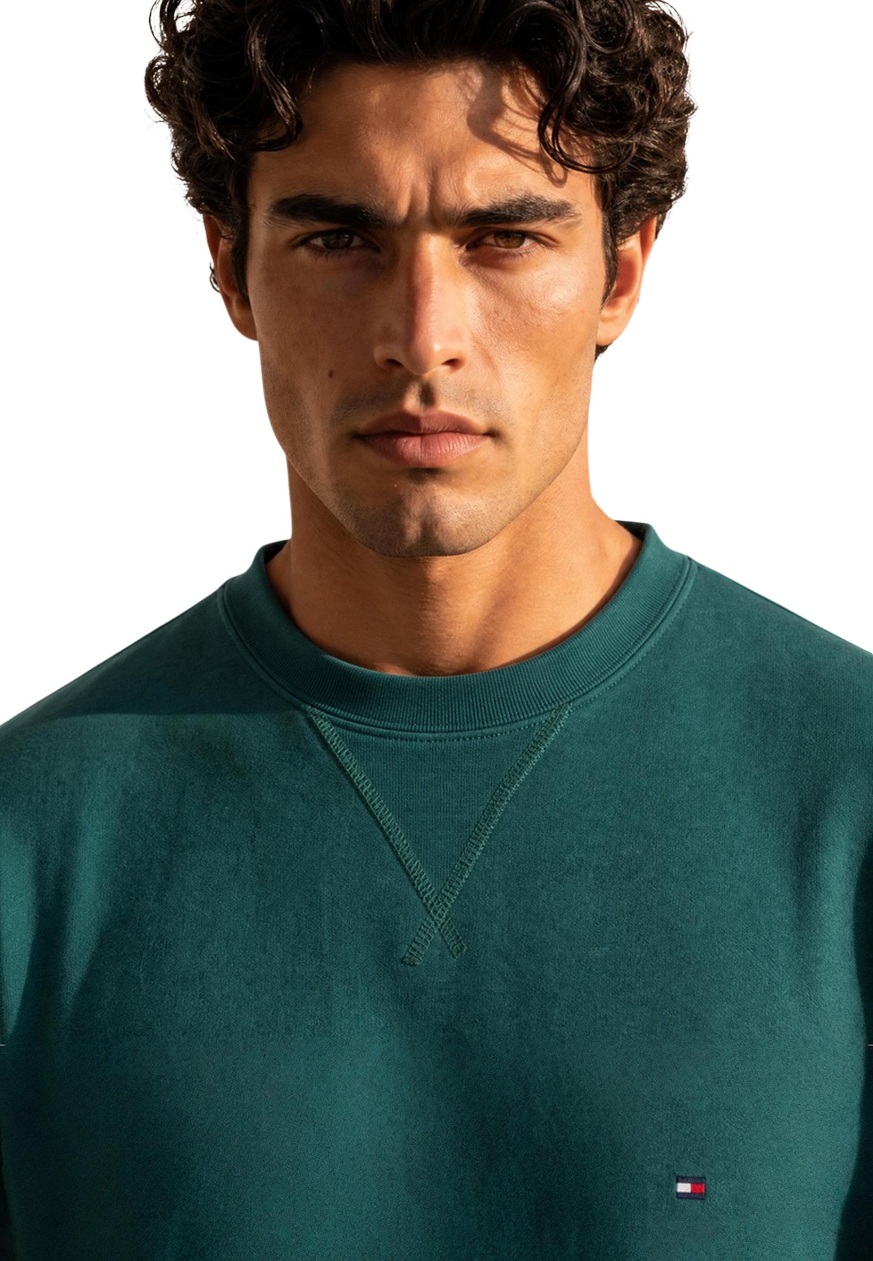 Tommy Hilfiger Men Sweatshirts