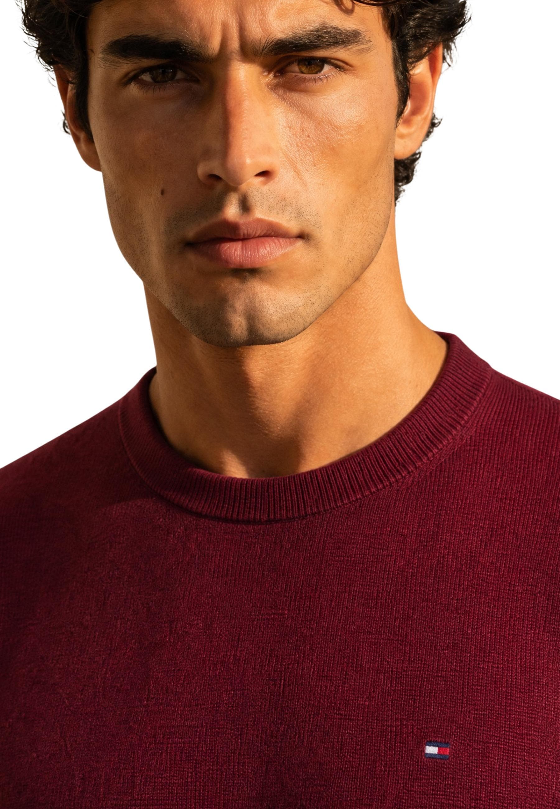 Tommy Hilfiger Men Knitwear