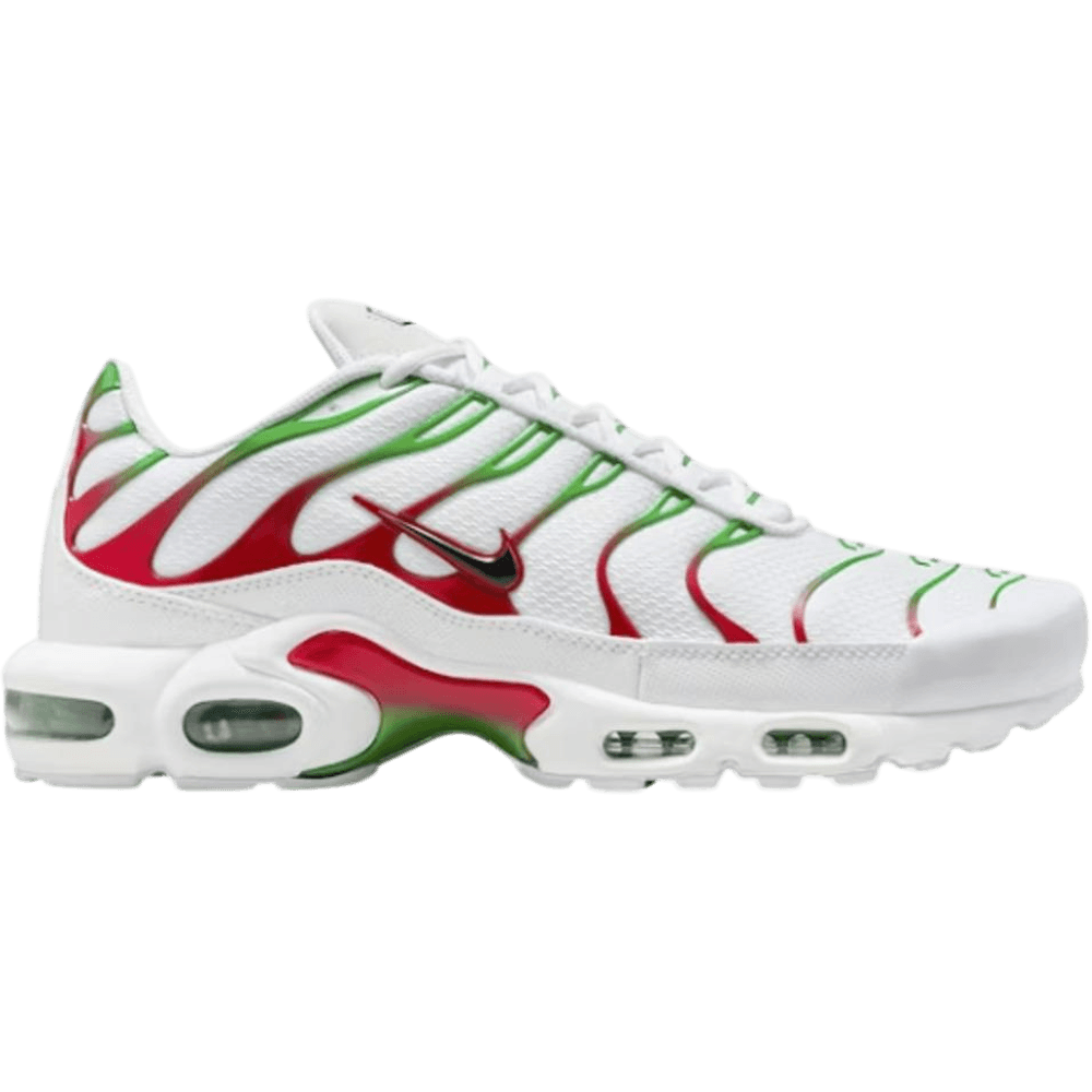 Nike Air Max Plus Italy