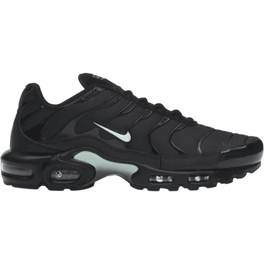 Nike Air Max Plus Black Mint Green