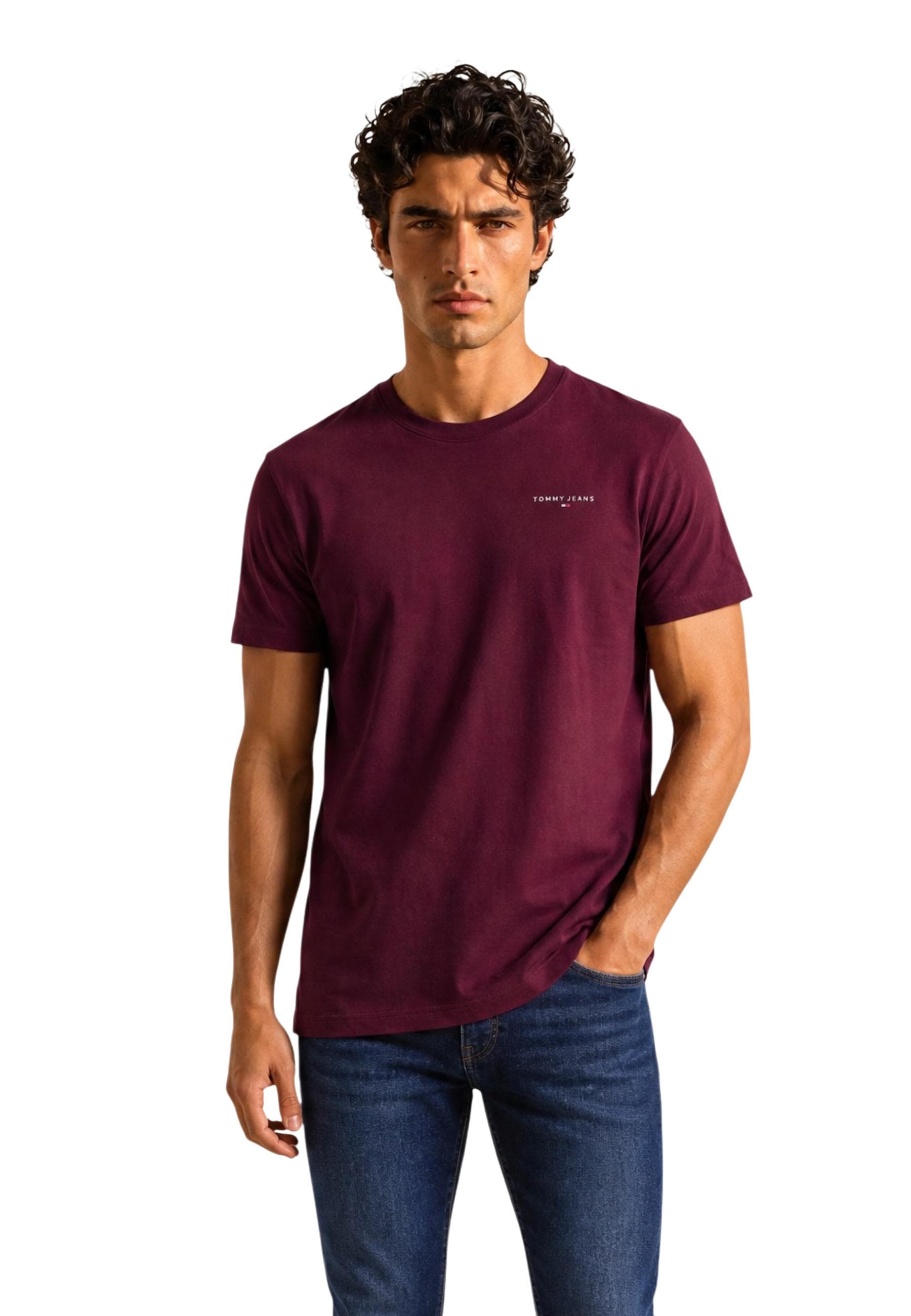 Tommy Hilfiger Jeans Tjm Slim Linear Chest Tee Ext